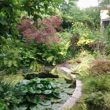 Semesterbostad Gartenhaus Steffie *