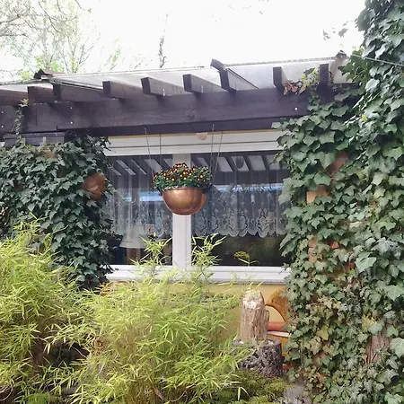 Gartenhaus Steffie